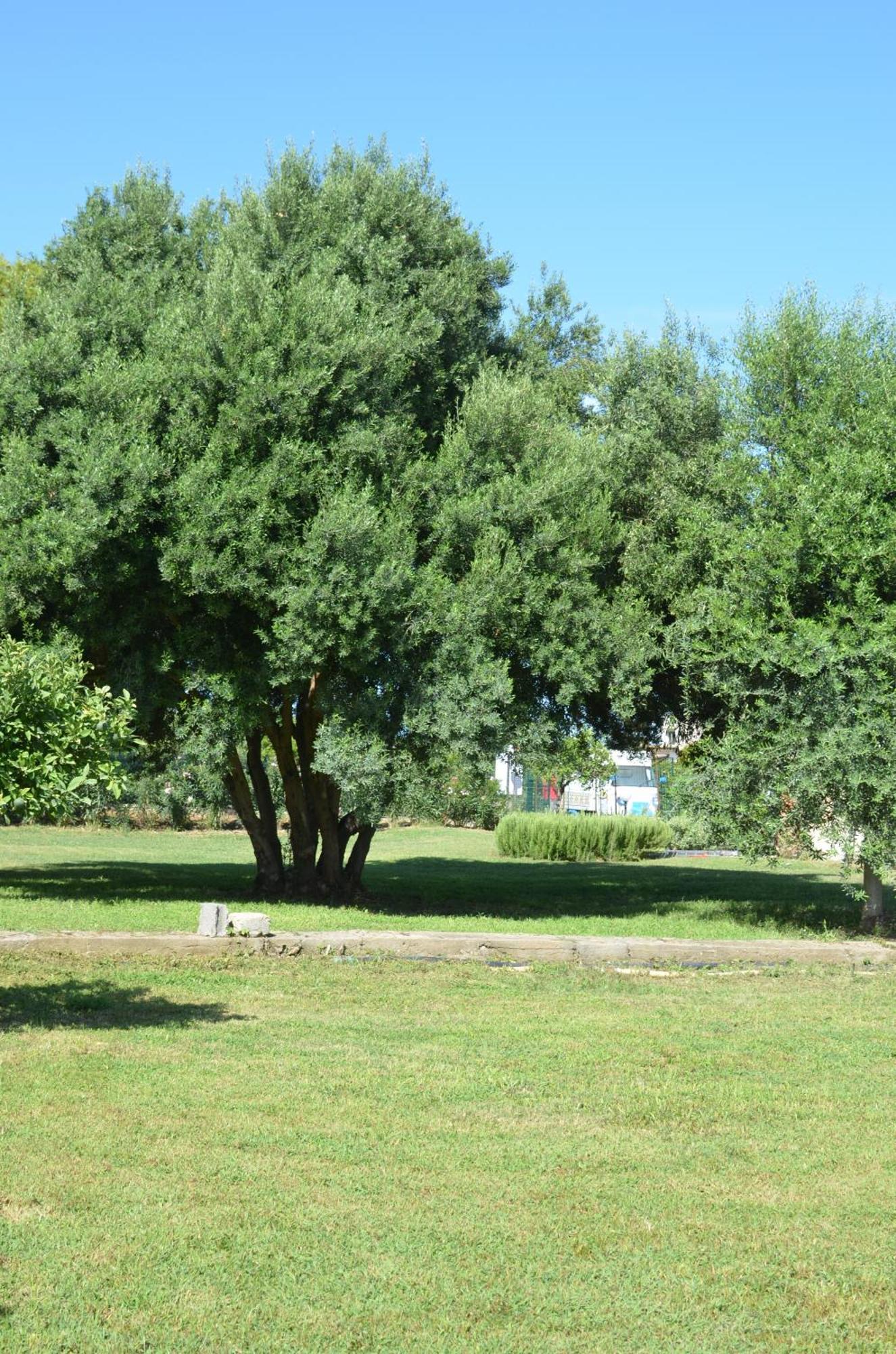 Villa Teti - Sicilia Campofelice Di Roccella Esterno foto