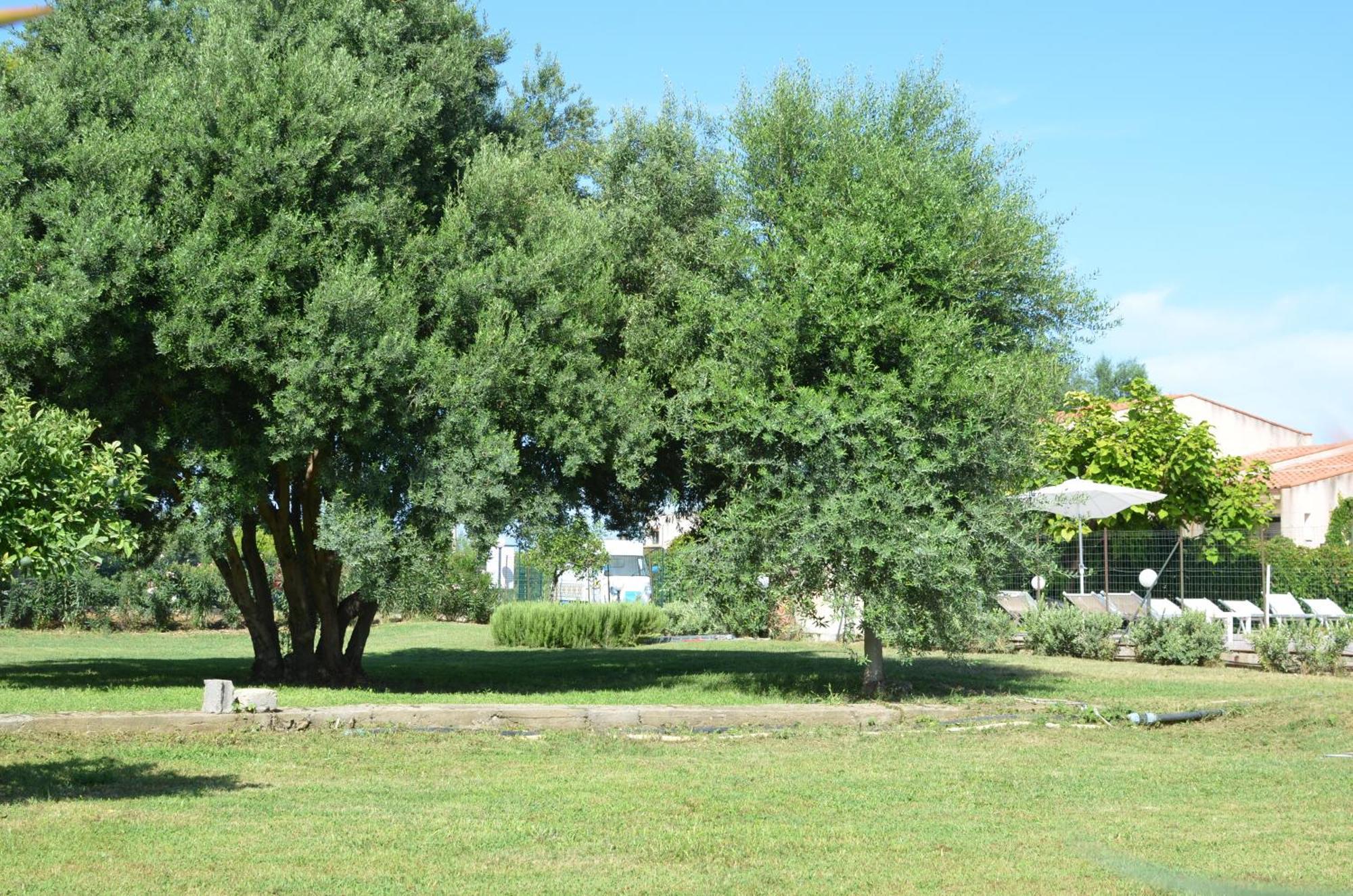 Villa Teti - Sicilia Campofelice Di Roccella Esterno foto